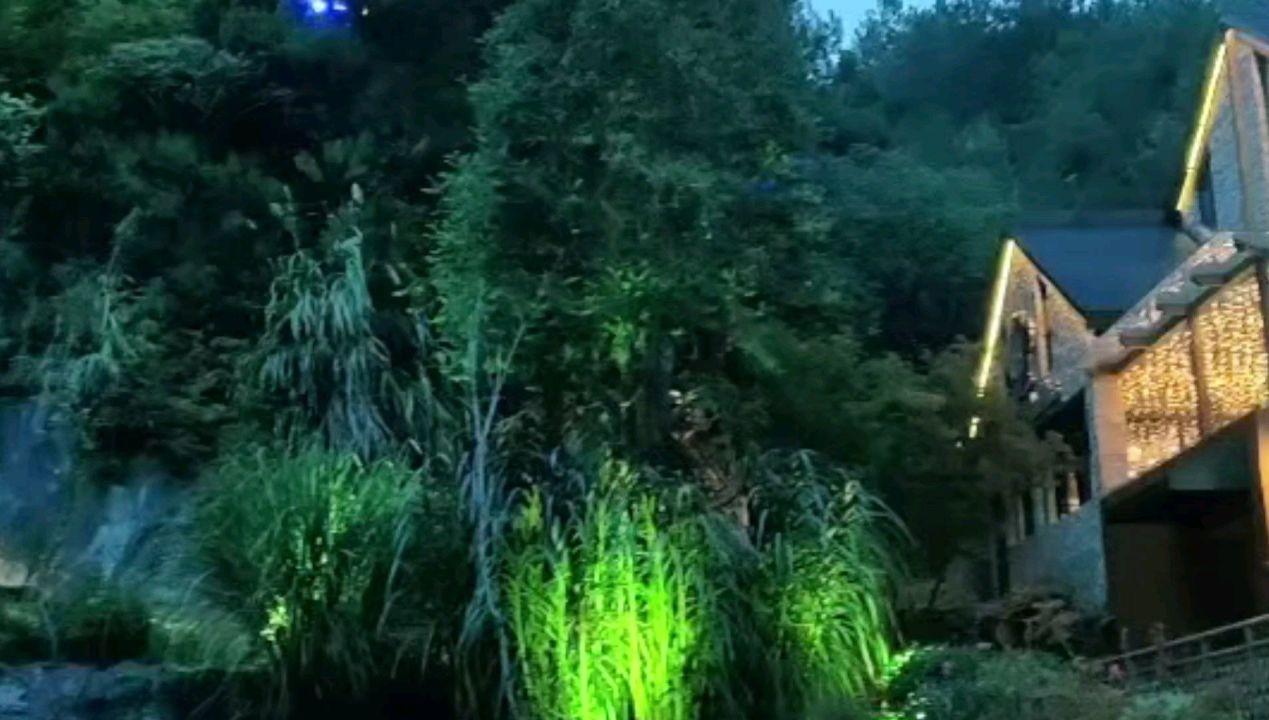 探索世界,畅谈知识——拖延症怎么办?蜗牛问答平台